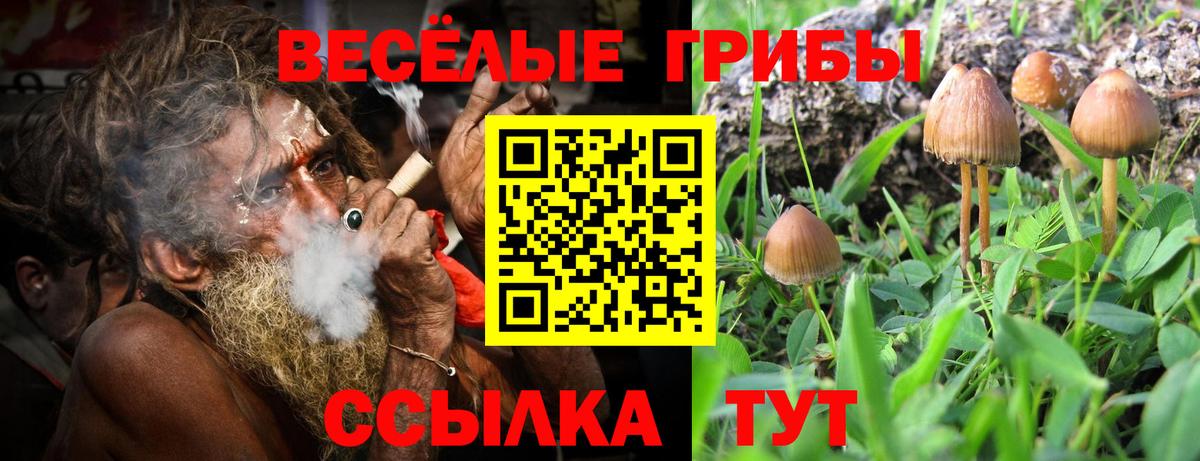Псилоцибиновые грибы мицелий  Вход с VPN  Десногорск 